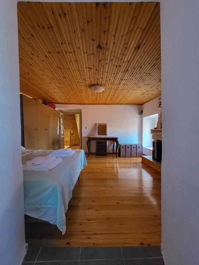 Παραδοσιακό Σπίτι Με Θέα Villa Tríkeri Dış mekan fotoğraf