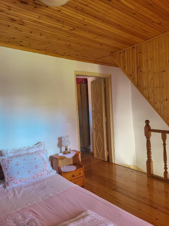 Παραδοσιακό Σπίτι Με Θέα Villa Tríkeri Dış mekan fotoğraf