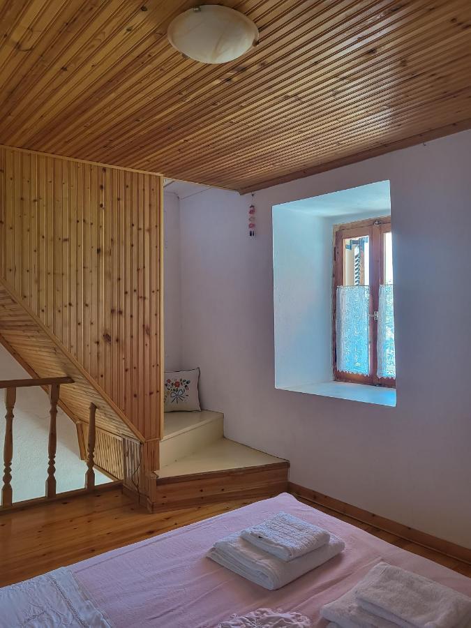 Παραδοσιακό Σπίτι Με Θέα Villa Tríkeri Dış mekan fotoğraf